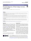 Prenatal diagnosis of fetal midgut volvulus: A case report