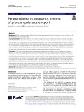 Paraganglioma in pregnancy, a mimic of preeclampsia: A case report