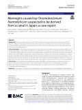 Meningitis caused by Chromobacterium haemolyticum suspected to be derived from a canal in Japan: A case report