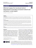 Minimal surgery for tractional retinal detachment secondary to branch retinal vein occlusion: A case report