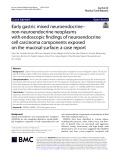 Early gastric mixed neuroendocrine– non-neuroendocrine neoplasms with endoscopic findings of neuroendocrine cell carcinoma components exposed on the mucosal surface: A case report