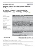 Geographic context of black-white disparities in Medicare CAHPS patient experience measures