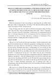 Khảo sát nhiễm khuẩn Klebsiella pneumoniae kháng thuốc gây bệnh viêm phổi người lớn của bệnh nhân điều trị nội trú tại Bệnh viện Vũng Tàu năm 2022 trên bệnh phẩm phân lập được