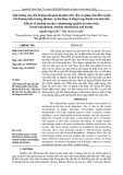 Ảnh hưởng của chất lượng mối quan hệ giữa sinh viên và giảng viên đến sự gắn kết thương hiệu trường đại học, sự hài lòng và lòng trung thành của sinh viên