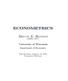 Ebook Econometrics: Part 1