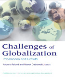 Ebook Challenges of globalization: Imbalances and growth – Part 2