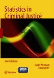 Ebook Statistics in Criminal Justice (Fourth edition)