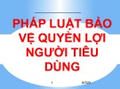 Bài giảng Pháp luật: Bài 8 - Pháp luật bảo vệ quyền lợi người tiêu dùng