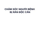 Bài giảng Chăm sóc người bệnh bị rắn độc cắn