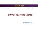 Bài giảng Cấu tạo và chức năng của cơ thể (Phần: Sinh lý học) - Chuyển hóa năng lượng