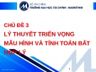 Bài giảng Tài chính hành vi - Chủ đề 3: Lý thuyết triển vọng mẫu hình và tính toán bất hợp lý