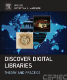 Ebook Discover digital libraries: Theory and practice