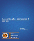 Ebook Accounting for companies-II: Part 2 - Ashwani Panesar