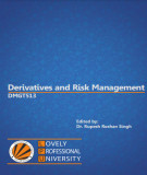 Ebook Derivatives and risk management: Part 1