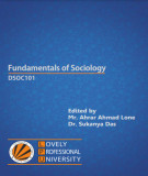 Ebook Fundamentals of Sociology: Part 2