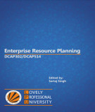 Ebook Enterprise resource planning: Part 1 - Sartaj Singh