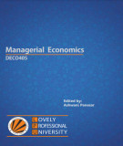 Ebook Managerial economics: Part 1 - Ashwani Panesar