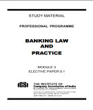 Ebook Banking law and practice (Module 3 elective paper 9.1): Part 2