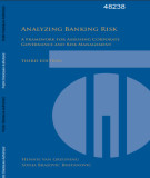 Ebook Analyzing banking risk: A framework for assessing corporate governance and risk management – Part 1