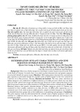 Nghiên cứu thực vật học và di truyền học của loài Mắm đen (Avicennia sp.) tại Việt Nam