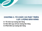 Bài giảng Quản trị bán hàng - Chương 3: Tổ chức và phát triển lực lượng bán hàng (Trình độ Thạc sĩ)