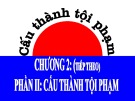 Bài giảng Luật Hình sự - Chương 2: Tội phạm và cấu thành tội phạm (Phần 2)