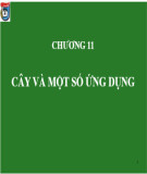 Bài giảng Lý thuyết đồ thị: Chương 11 - PGS.TS. Hoàng Chí Thành