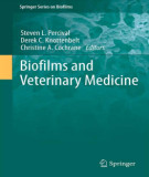 Ebook Biofilms and veterinary medicine: Part 1