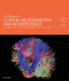 Ebook Clinical neuroanatomy and neuroscience (7th edition): Part 2