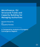 Ebook Microfinance, EU structural funds and capacity building for managing authorities: A comparative analysis of European convergence regions