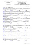 Đề thi học kì 2 môn Toán lớp 10 năm 2022-2023 - Sở GD&ĐT Bắc Giang