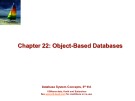 Lecture Database system concepts (6/e): Chapter 22 - Silberschatz, Korth, Sudarshan