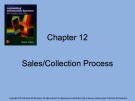 Lecture Accounting information systems basic concepts and current issues (4th edition): Chapter 12 - Robert L. Hurt