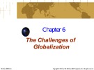 Lecture Business and society - Chapter 6: The challenges of globalization