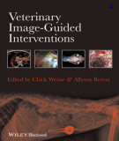 Ebook Veterinary image-guided interventions: Part 1