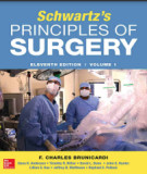 Ebook Schwartz’s principles of surgery (Vol 1 - 11th edition): Part 1