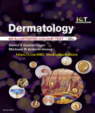 Ebook Dermatology - An illustrated colour text (6th edition): Part 1