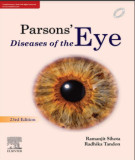 Ebook Parsons’ diseases of the eye (23RD edition): Part 3