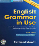 Ebook English grammar in use (4th edition): Part 1
