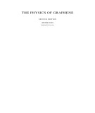 Ebook The physics of graphene (2nd dition): Part 2
