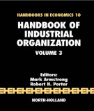Ebook Handbook of industrial organization (Vol 3): Part 2