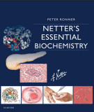 Ebook Netter’s essential biochemistry: Part 2 - Peter Ronner