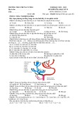 Đề thi học kì 2 môn Sinh học lớp 8 năm 2022-2023 - Trường THCS Trưng Vương