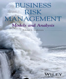 Ebook Business risk management: Models and analysis - Part 2