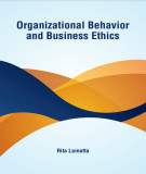 Ebook Organizational behavior and business ethics: Part 2