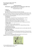 Giáo án Toán lớp 11 - Chương I, Bài 2: Giá trị lượng giác của một góc lượng giác (Sách Chân trời sáng tạo)