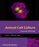 Ebook Animal cell culture - Essential methods: Part 1