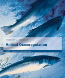 Ebook Animal osmoregulation: Part  1