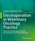 Ebook Electroporation in veterinary oncology practice: Part 2