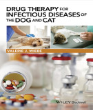 Ebook Drug therapy for infectious diseases of the dog and cat: Part 1